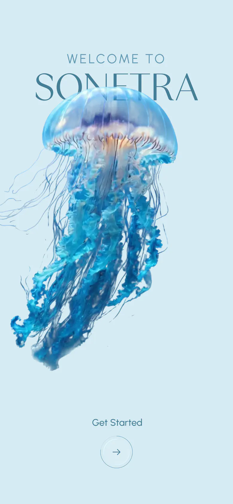 Welcome to Sonetra: a jellyfish drifting over the wordmark